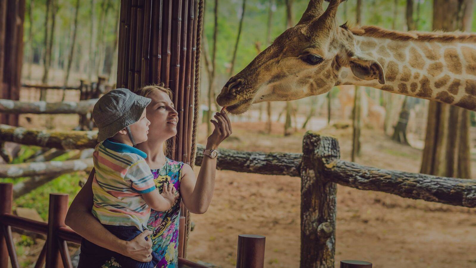 Camping-Venise-Parc-Zoologique-Punta-Verde